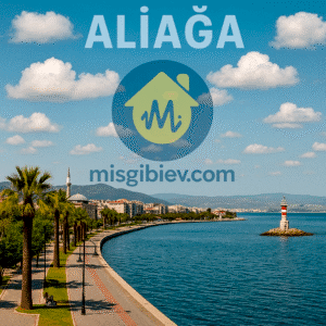 Aliağa Ev Temizliği – MisgibiEv.com