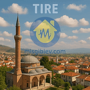 Tire Ev Temizliği – MisgibiEv.com